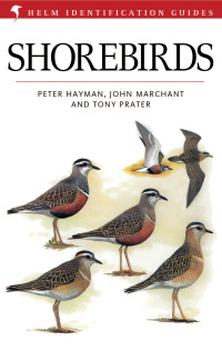 表紙画像: Shorebirds 1st edition 9780713635096