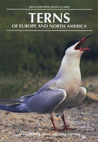 Cover image: Terns of Europe and North America 1st edition 9780713640564