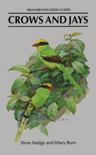 Cover image: Crows and Jays 1st edition 9781408157381