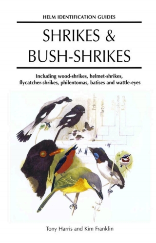 Cover image: Shrikes and Bush-shrikes 1st edition 9780713638615