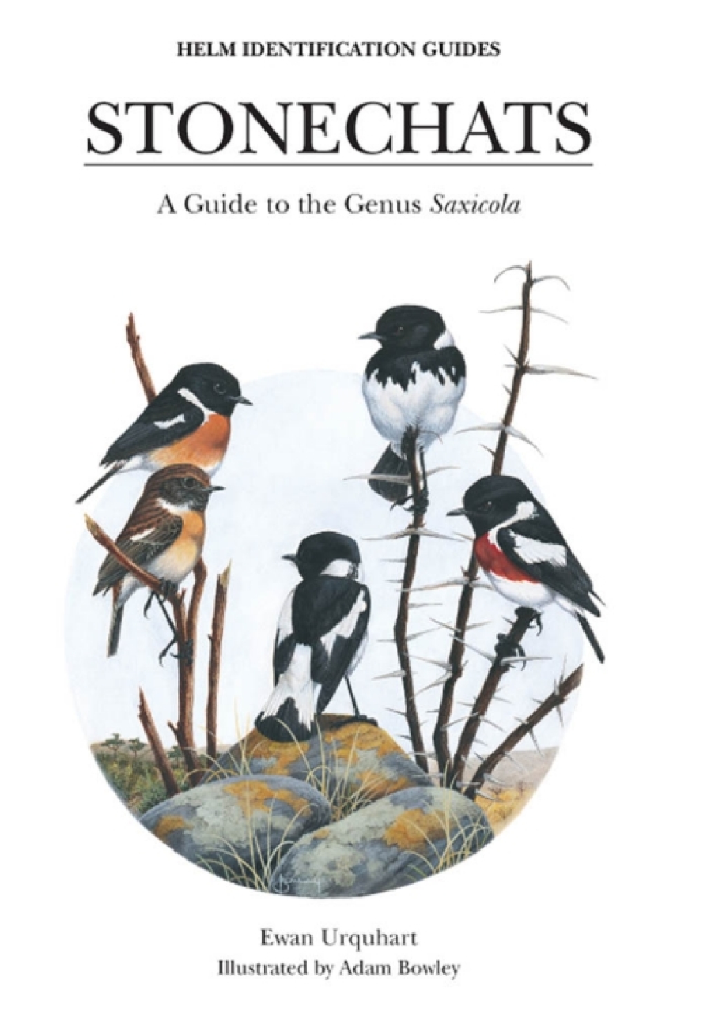 ISBN 9780713660241 product image for Stonechats - 1st Edition (eBook Rental) | upcitemdb.com