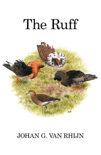 Imagen de portada: The Ruff 1st edition 9781408136782