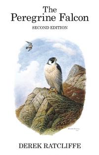 Omslagafbeelding: The Peregrine Falcon 2nd edition 9781408136843