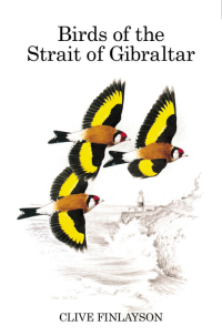 Omslagafbeelding: Birds of the Strait of Gibraltar 1st edition 9781408136959