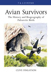 Imagen de portada: Avian survivors 1st edition 9780713688658