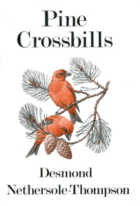 Imagen de portada: Pine Crossbills 1st edition 9781408137406