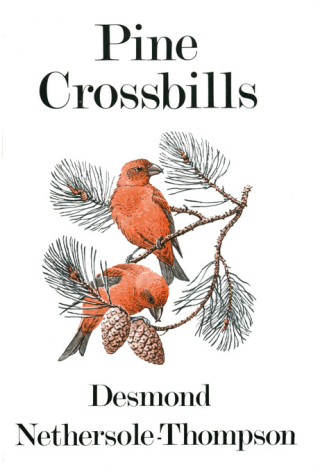 Titelbild: Pine Crossbills 1st edition 9781408137406