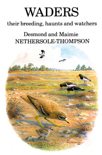 Imagen de portada: Waders: their Breeding, Haunts and Watchers 1st edition 9781408137475