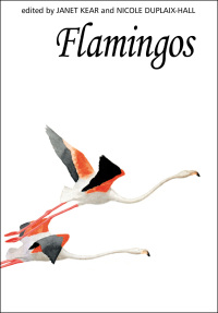 Immagine di copertina: Flamingos 1st edition 9781408137505