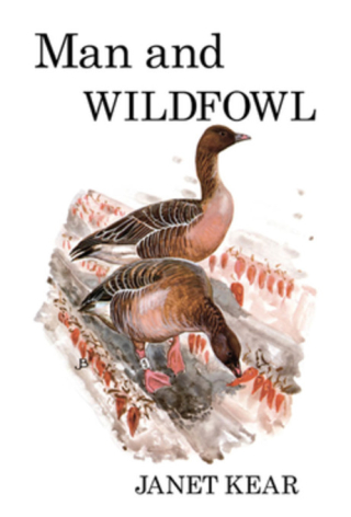 Omslagafbeelding: Man and Wildfowl 1st edition 9781408137628