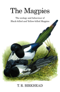 Titelbild: The Magpies: The Ecology and Behaviour of Black-Billed and Yellow-Billed Magpies 1st edition 9781408140246