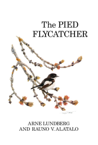 صورة الغلاف: The Pied Flycatcher 1st edition 9781408137802