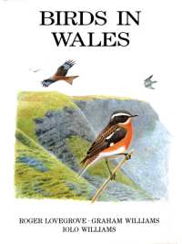 صورة الغلاف: Birds in Wales 1st edition 9781408137925