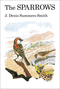 Titelbild: The Sparrows 1st edition 9781408138243
