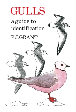Cover image: Gulls: A Guide to Identification. 2nd Edition 2nd edition 9781408138311