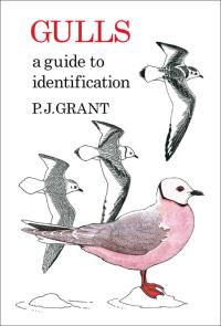表紙画像: Gulls: A Guide to Identification. 2nd Edition 2nd edition 9781408138311