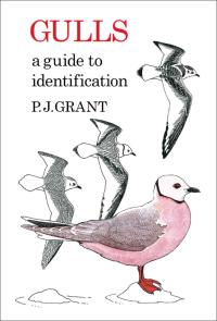 Titelbild: Gulls: A Guide to Identification. 2nd Edition 2nd edition 9781408138311