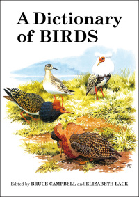 Omslagafbeelding: A Dictionary of Birds 1st edition 9781408138403