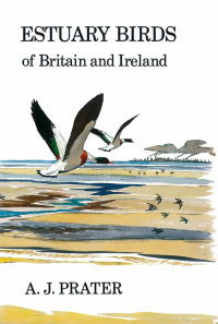 Cover image: Estuary Birds of Britain and Ireland 1st edition 9781408138496