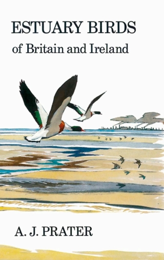 Cover image: Estuary Birds of Britain and Ireland 1st edition 9781408138496