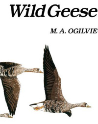 Imagen de portada: Wild Geese 1st edition 9781408138601