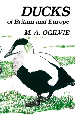 Cover image: Ducks of Britain and Europe 1st edition 9781408138632