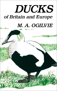 Omslagafbeelding: Ducks of Britain and Europe 1st edition 9781408138632