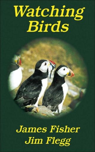 Cover image: Watching Birds 1st edition 9781408138663