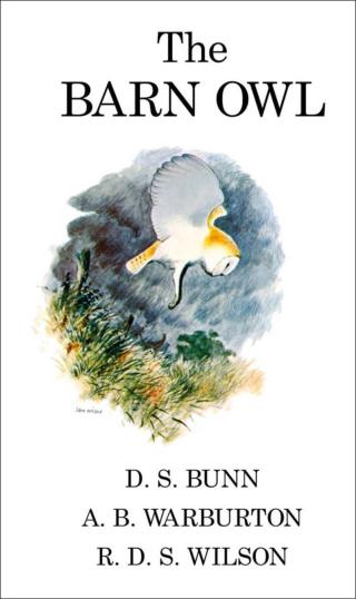 Imagen de portada: The Barn Owl 1st edition 9781408139585