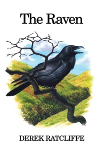 صورة الغلاف: The Raven 1st edition 9780856610905