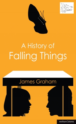 Cover image: A History of Falling Things 1st edition 9781408122907