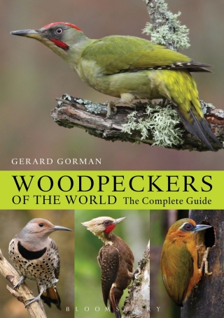 Cover image: Woodpeckers of the World 1st edition 9781408147153