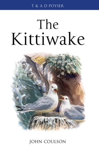 Cover image: The Kittiwake 1st edition 9781408152348