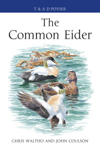 Imagen de portada: The Common Eider 1st edition 9781408125328