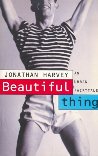 Imagen de portada: Beautiful Thing 1st edition