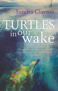 Cover image: Turtles in Our Wake 1st edition 9781408152829