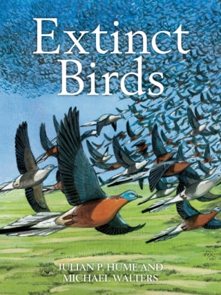Cover image: Extinct Birds 1st edition 9781408157251