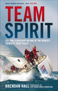 Immagine di copertina: Team Spirit 1st edition 9781408187999