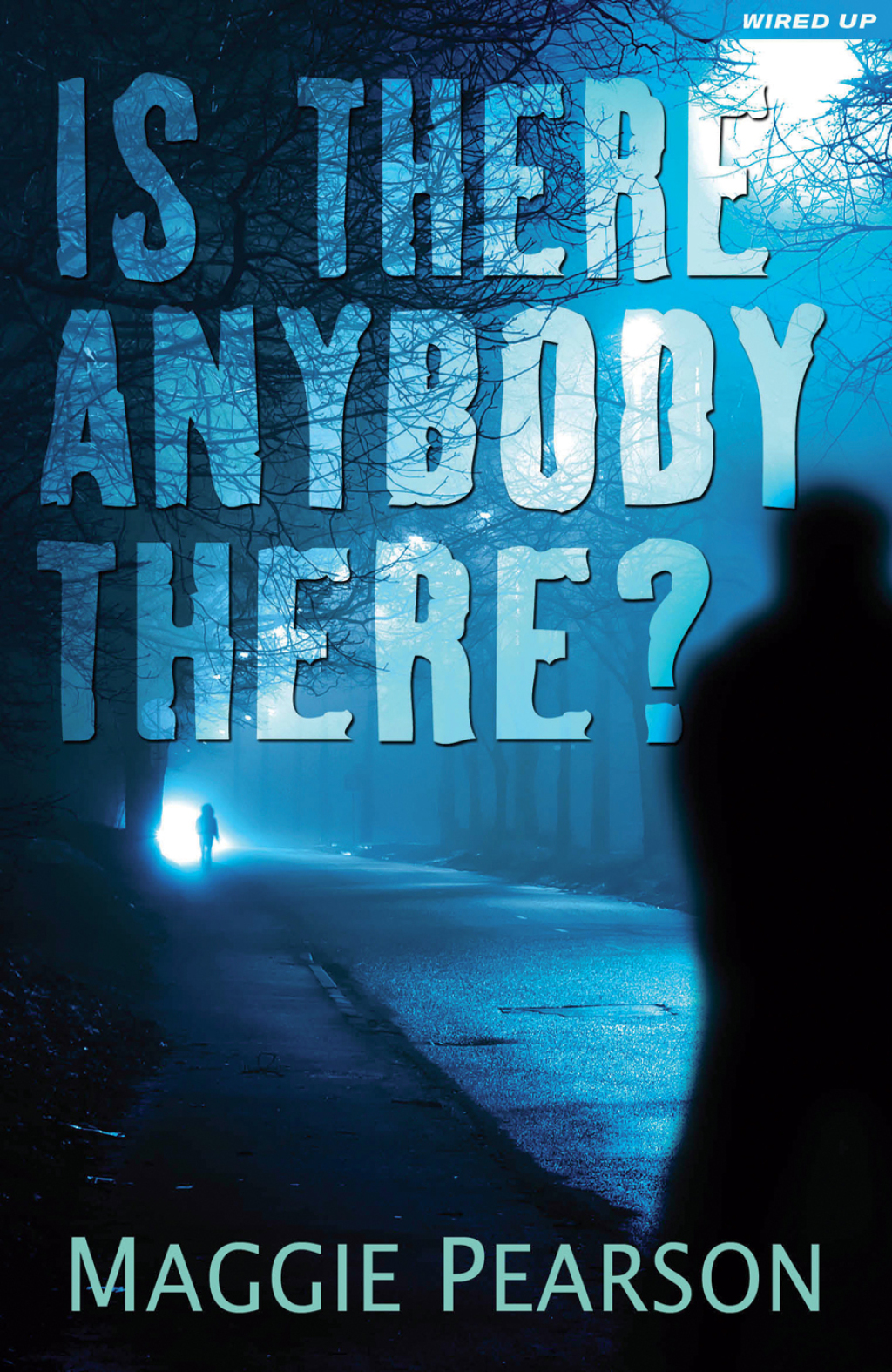 Is There Anybody There? - 1st Edition (eBook Rental)