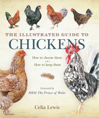 Cover image: The Illustrated Guide to Chickens 1st edition 9781408122297