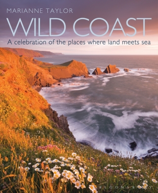 صورة الغلاف: Wild Coast 1st edition 9781408181782