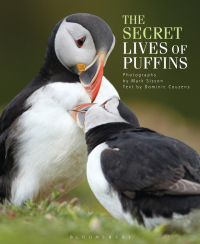 Omslagafbeelding: The Secret Lives of Puffins 1st edition 9781408186671