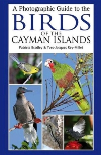 Cover image: A Photographic Guide to the Birds of the Cayman Islands 1st edition 9781408123645