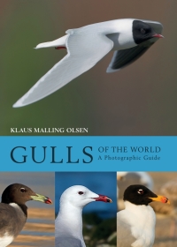 Omslagafbeelding: Gulls of the World 1st edition 9781408181645