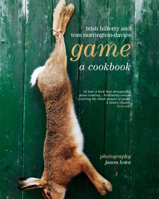 Cover image: Game 1st edition 9781906650100