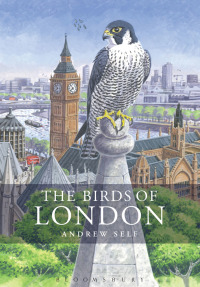 Omslagafbeelding: The Birds of London 1st edition 9781408194041