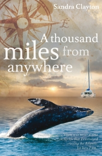 صورة الغلاف: A Thousand Miles from Anywhere 1st edition 9781408187685