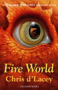Cover image: Fire World 9781408309599