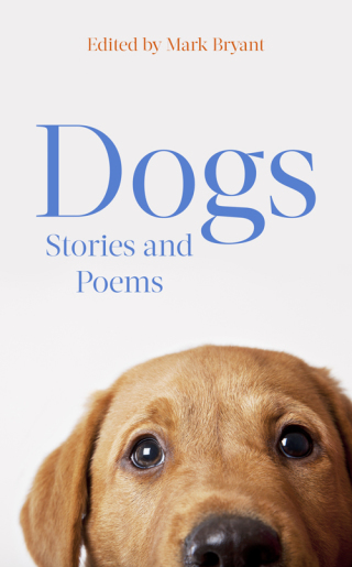 Cover image: Dogs 9781408710234