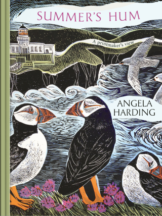 Cover image: Summer's Hum 9781408721933